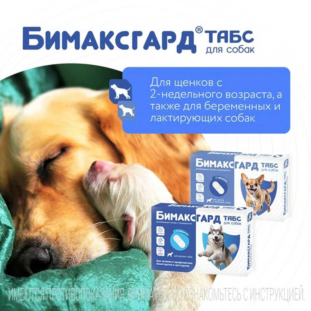 Бимаксгард Антигельминтный Препарат Для Мелких Собак и Щенков 2 Таблетки