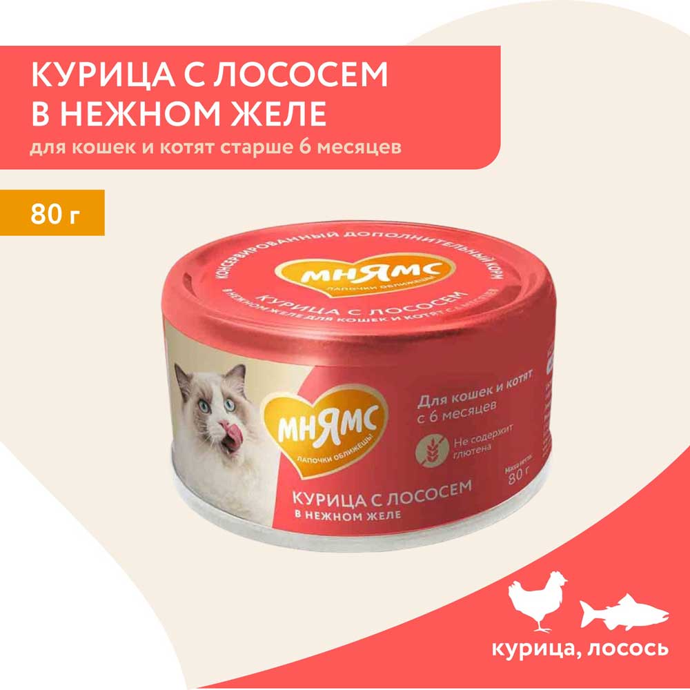Консервы Для Кошек Мнямс Курица и Лосось в Желе 80г
