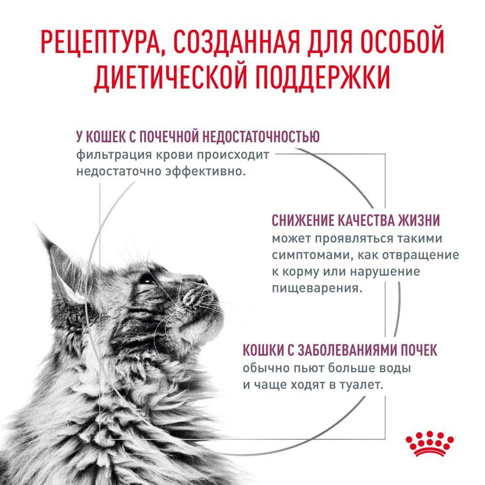 Влажный Корм Для Кошек Диетический  Royal Canin (Роял Канин) Renal Для Поддержания Функций Почек Курица Соус 85г