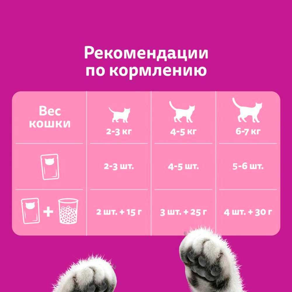 Влажный Корм  Whiskas (Вискас) Для Кошек Рагу Индейка 75г