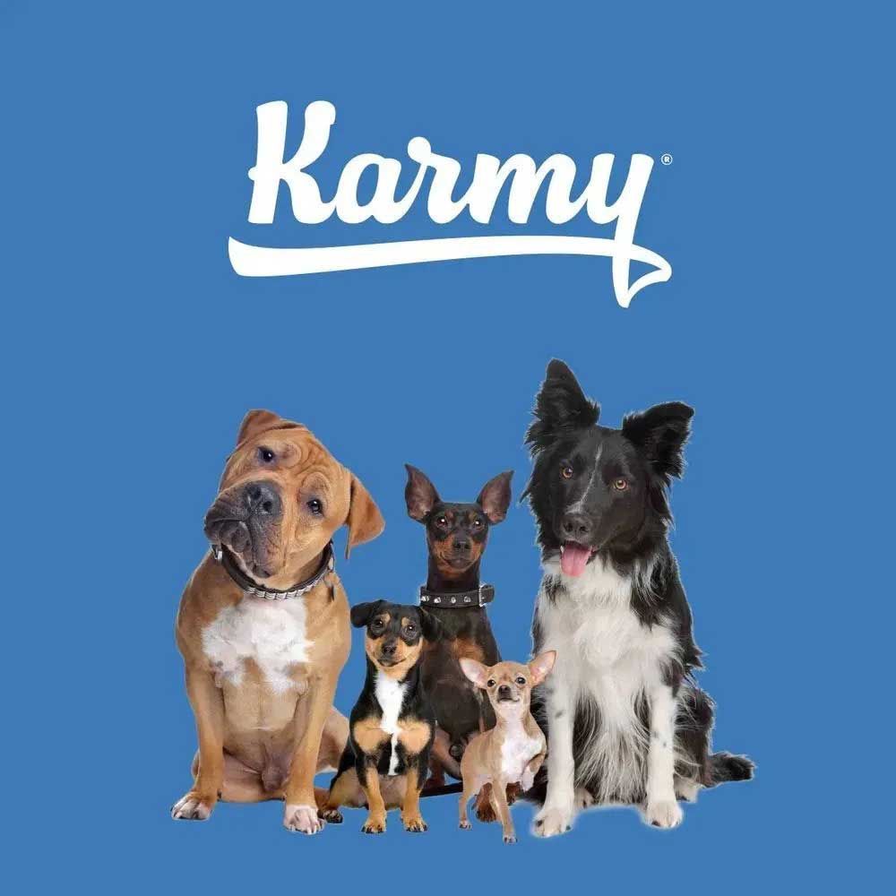 Консервы Karmy (Карми) Medium Junior Для Щенков Средних Пород Телятина 340г