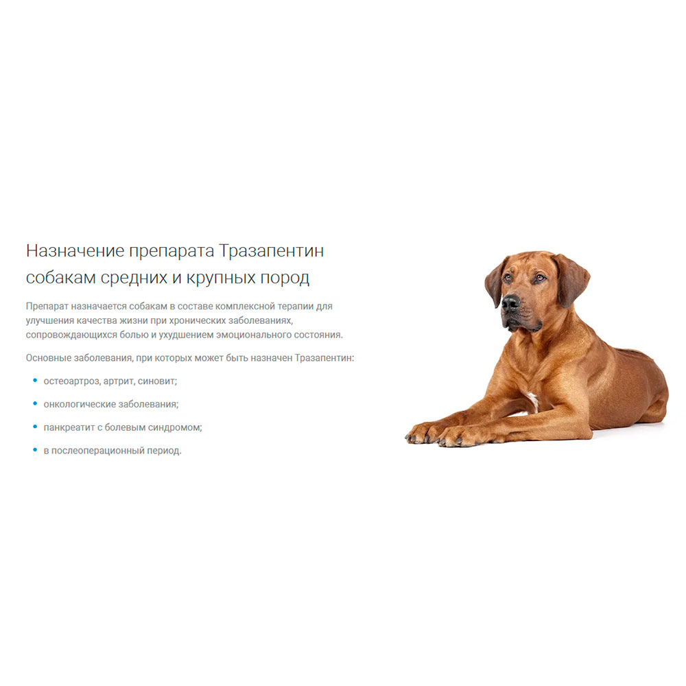 Тразапентин Таблетки Для Собак Средних и Крупных Пород 8 Таб