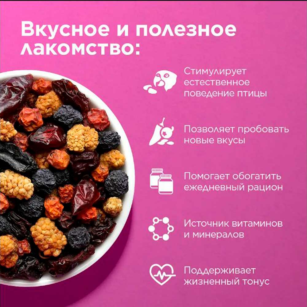 Лакомство Rio (Рио) Для Средних и Крупных Попугаев Ягодная Смесь 190г