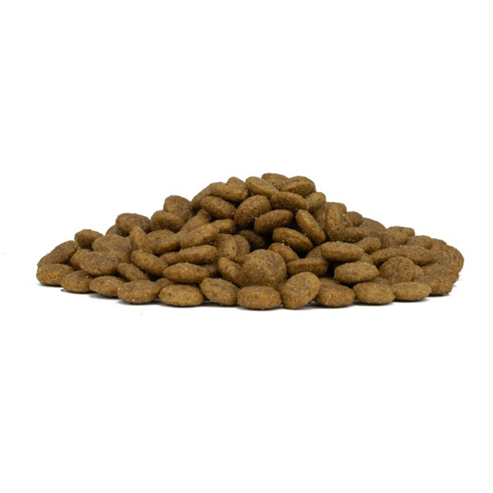 Сухой Корм Forza (Форза) 10 Dog Medium Monodiet Low Grain Для Собак Средних Пород При Аллергии Свинина и Картофель 1,5кг 09409