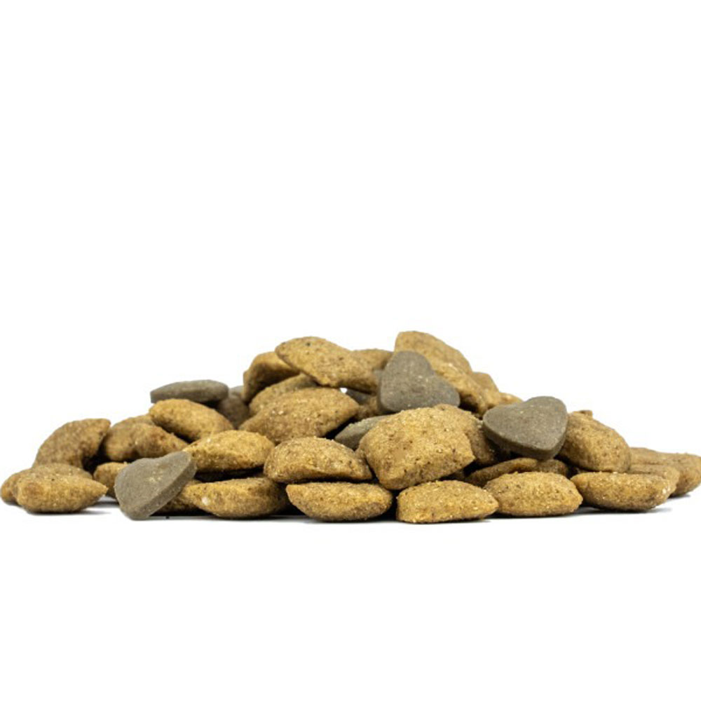 Сухой Корм Forza (Форза) 10 Dog Active Vet Diet Line Intestinal Для Собак Заболеваниях ЖКТ 1,5кг 13260
