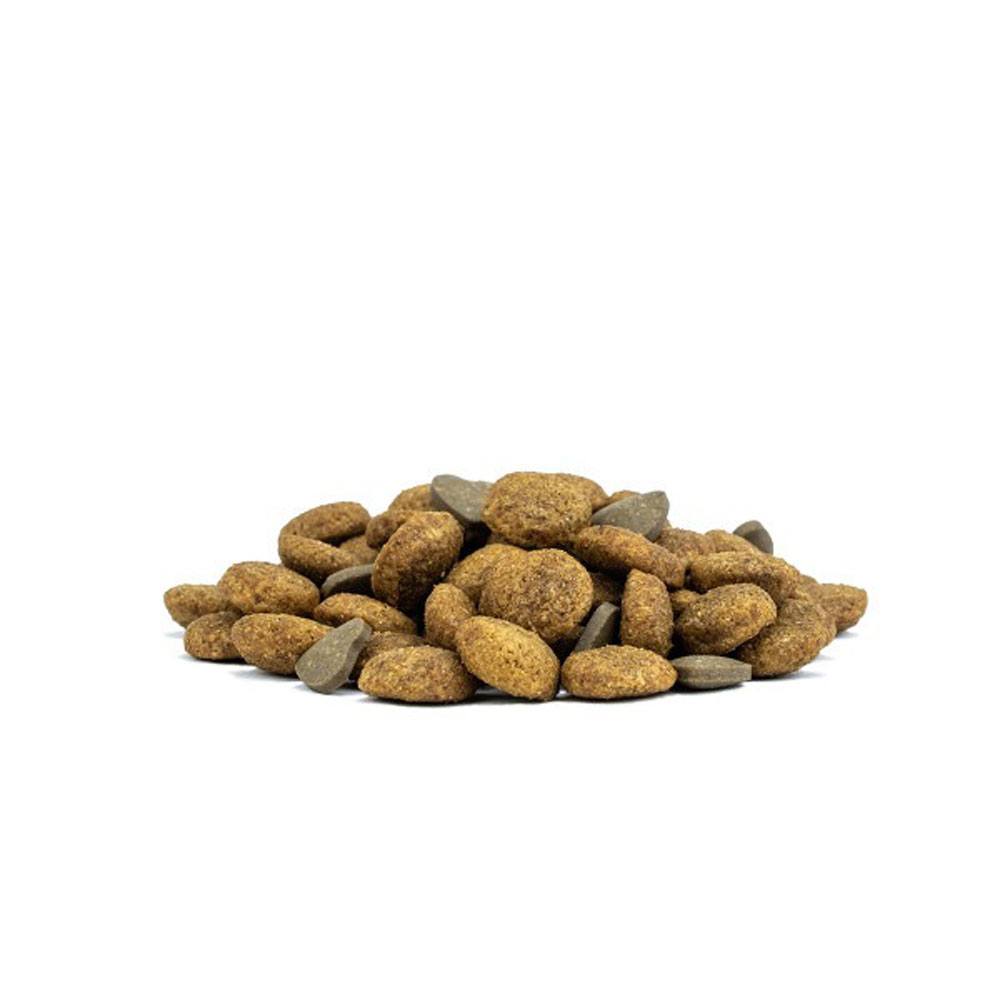Сухой Корм Forza (Форза) 10 Cat Acnive Vet Diet Hypoallergenic Для Кошек При Аллергии 400г 13963