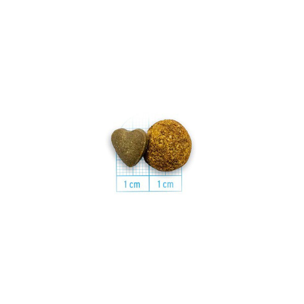 Сухой Корм Forza (Форза) 10 Cat Acnive Vet Diet Hypoallergenic Для Кошек При Аллергии 400г 13963