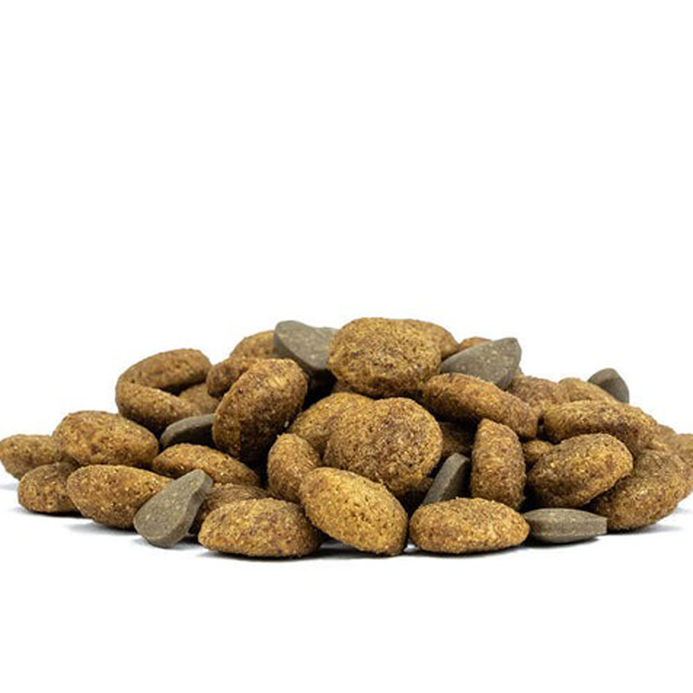 Сухой Корм  Forza (Форза) 10 Active Vet Diet Renal Для Кошек При Хронической Почечной Недостаточности 400г 13987