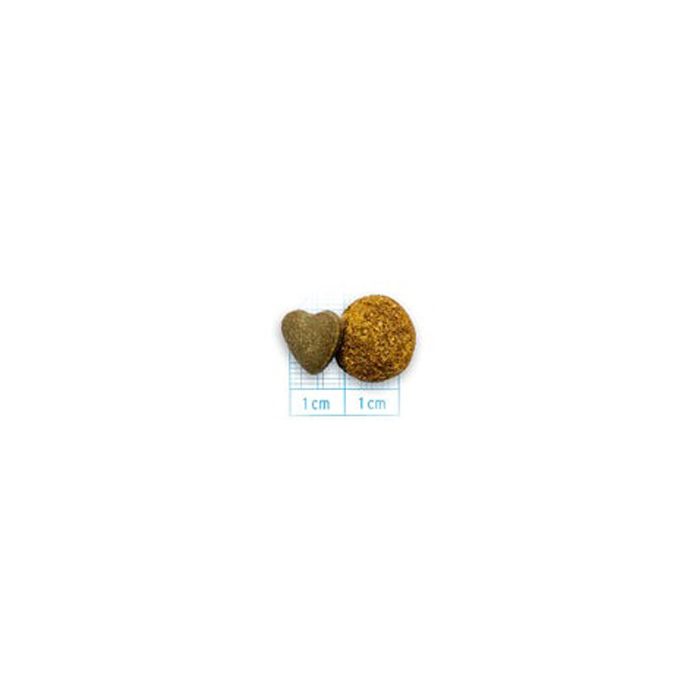 Сухой Корм Forza (Форза) 10 Cat Active Vet Diet Intestinal Для Кошек При Заболеваниях ЖКТ 400г13970