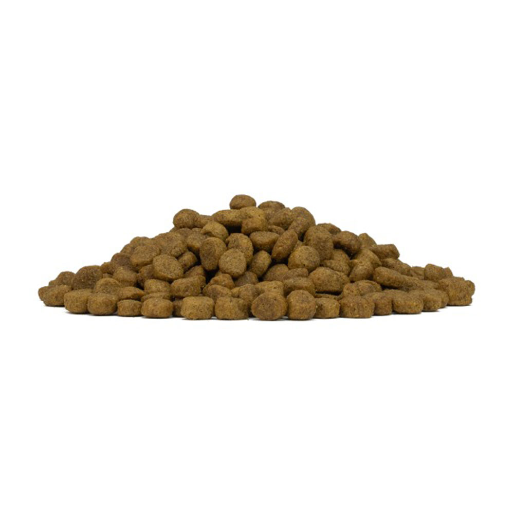 Сухой Корм Forza (Форза) 10 Dog Mini Monodiet Low Grain Для Собак Мелких Пород Оленина и Картофель 1,5кг 13185