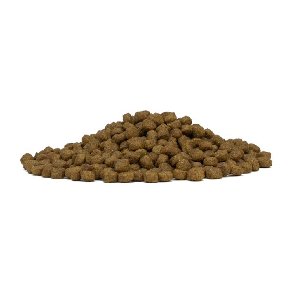 Сухой Корм Forza (Форза) 10 Dog Mini Toy Monodiet Low Grain Для Собак Мелких Пород Конина и Горох 1,5кг 13192