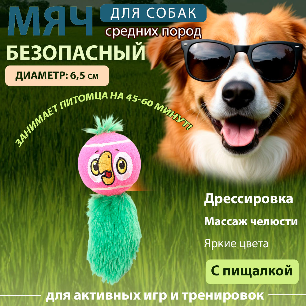 Игрушка Triol (Триол) Мяч Попугай 65/140мм Союзмультфильм 12141306