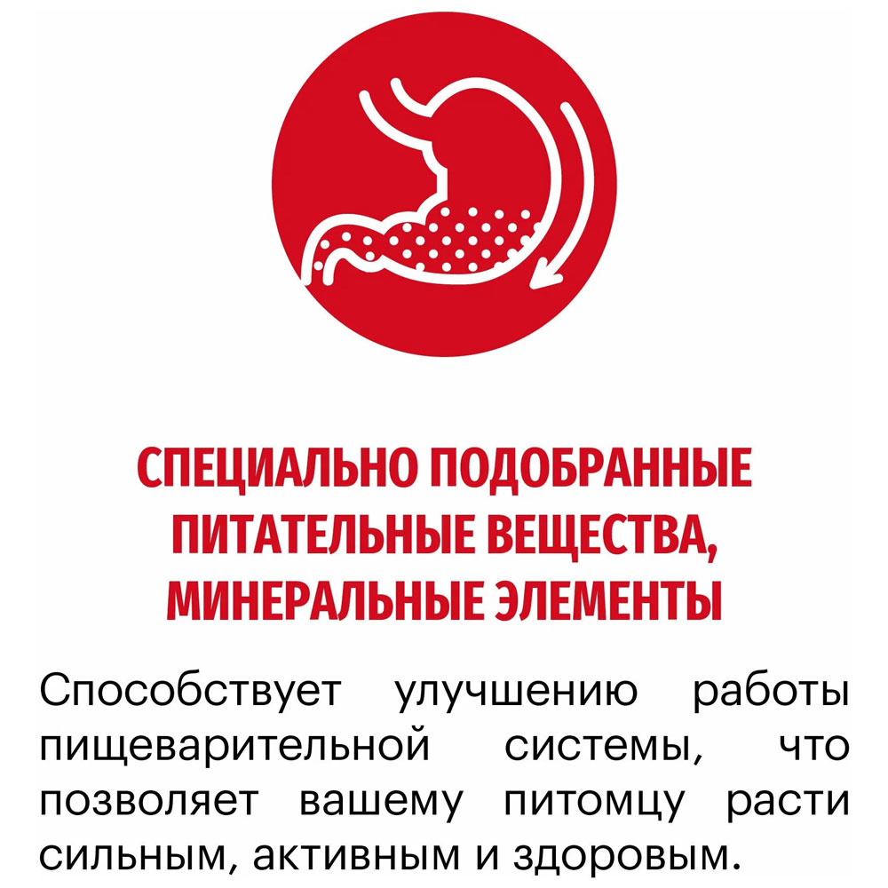 Сухой Корм  Karmy (Карми) Medium Junior Для Щенков Средних Пород Индейка Н 2кг