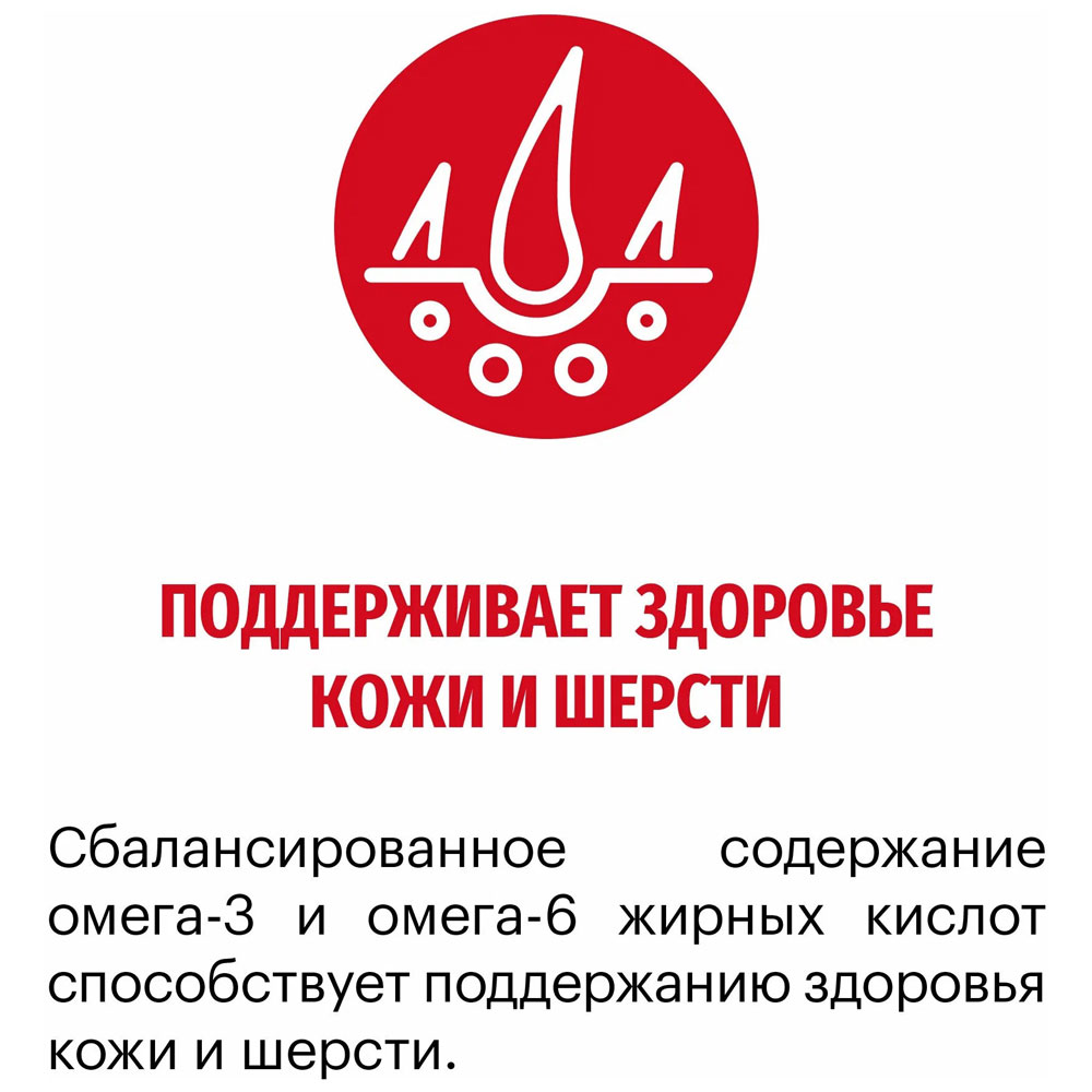Сухой Корм  Karmy (Карми) Medium Junior Для Щенков Средних Пород Индейка Н 2кг