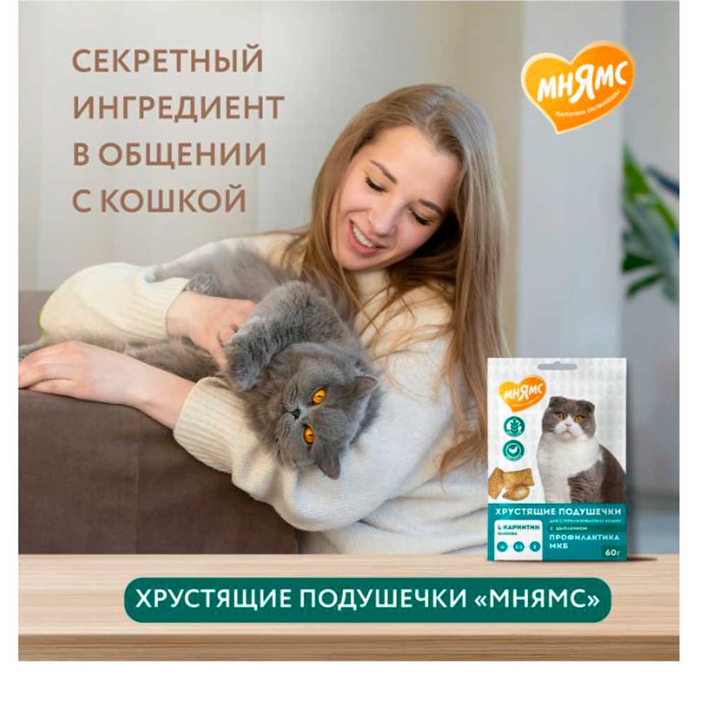 Лакомство Мнямс Для Стерилизованных Кошек Подушечки Хрустщие Цыпленок и Клюква Профилактика МКБ 60г