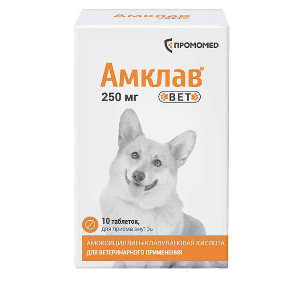 Амклав Вет Антибактериальный Препарат Для Кошек и Собак 10 Таблеток 250мг