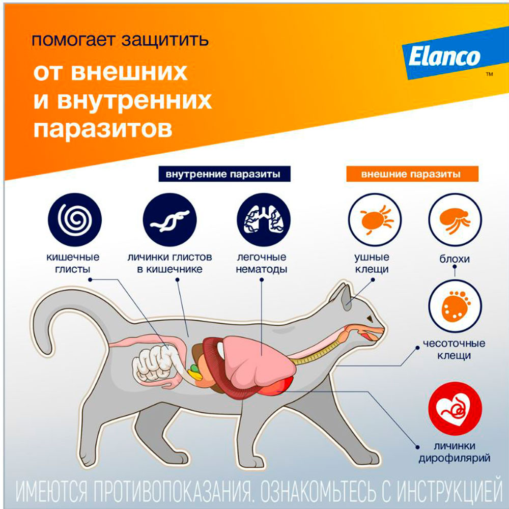 Адвокат Капли На Холку Для Кошек 4-8кг 0,8мл Упаковка 3 Пипетки(Чв)