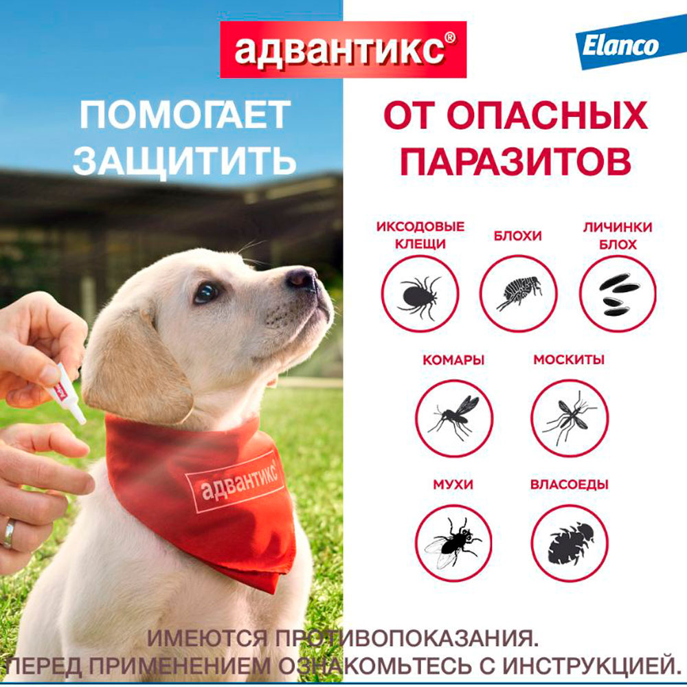 Адвантикс Капли На Холку Для Собак 10-25кг 2,5мл Упаковка 4 Пипетки(Чв)