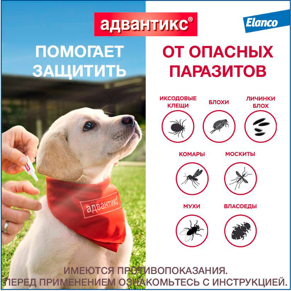 Адвантикс Капли На Холку От Блох и Клещей Для Собак 4-10кг 1мл Упаковка 4 Пипетки(Чв)