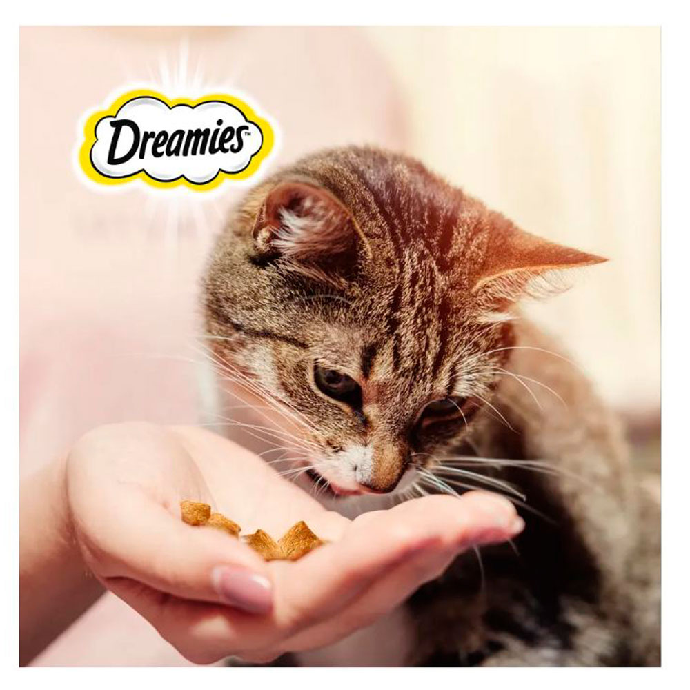 Лакомство Для Кошек Dreamies (Дримис) Лакомые Подушечки Курица 140г