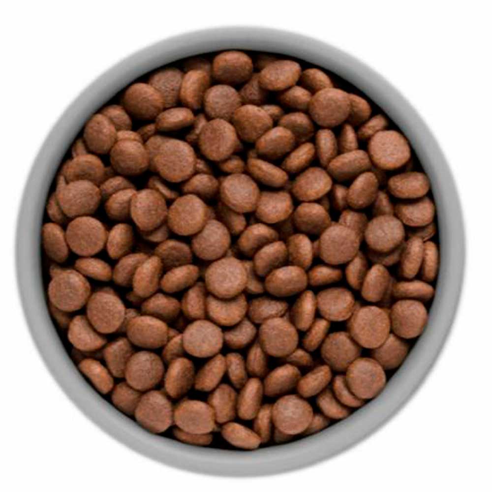 Сухой Корм Karmy (Карми) Main Coon Для Кошек Породы Мэйн-Кун Индейка 400г