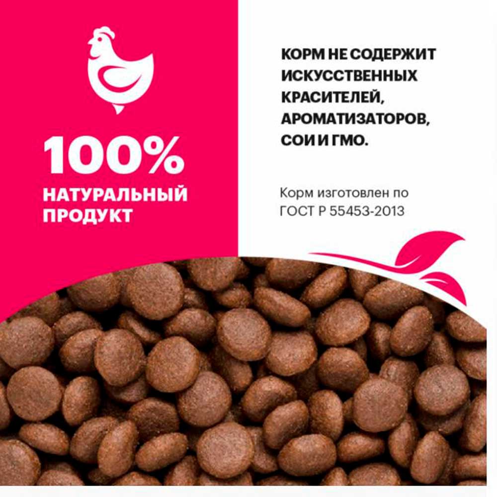 Сухой Корм Karmy (Карми) Adult для Кошек Курица 1,5кг