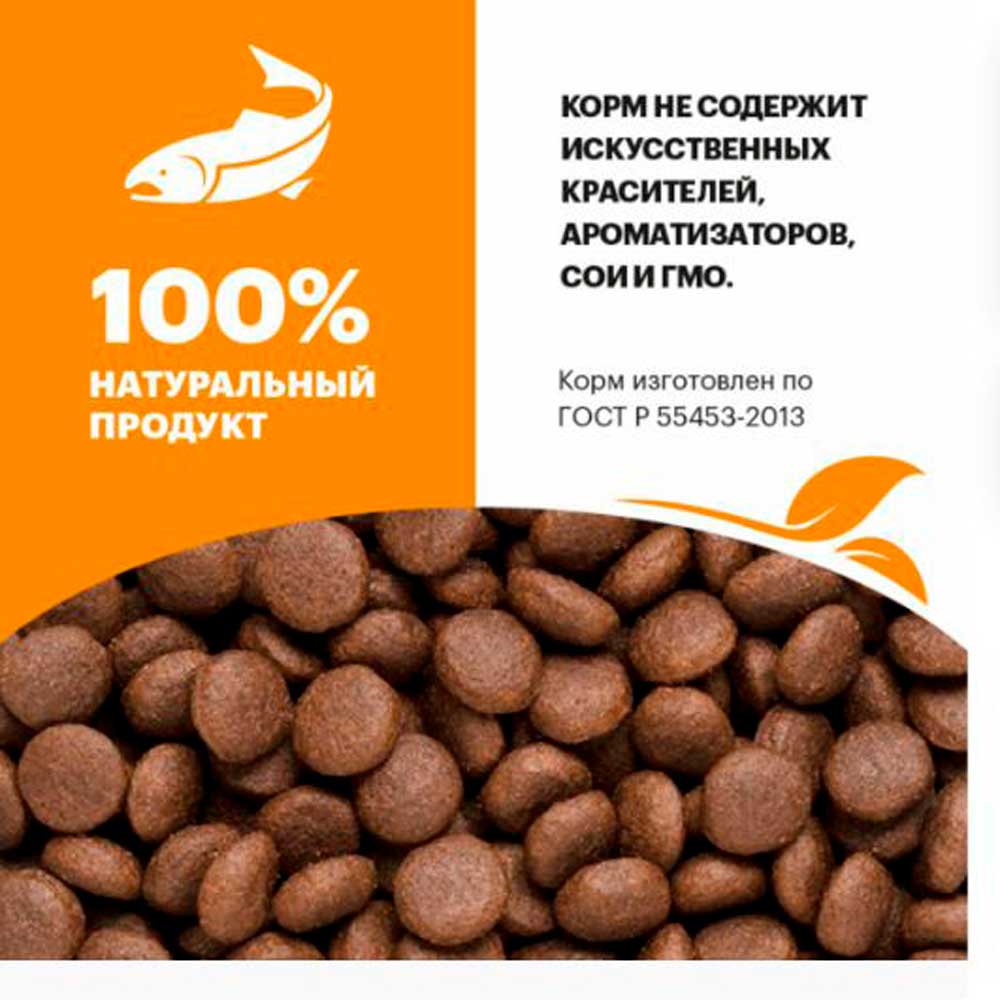 Сухой Корм Karmy (Карми) Hair & Skin Для Кошек Для Здоровья Кожи и Шерсти Лосось 1,5кг