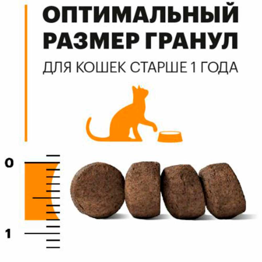 Сухой Корм Karmy (Карми) Hair & Skin Для Кошек Для Здоровья Кожи и Шерсти Лосось 1,5кг