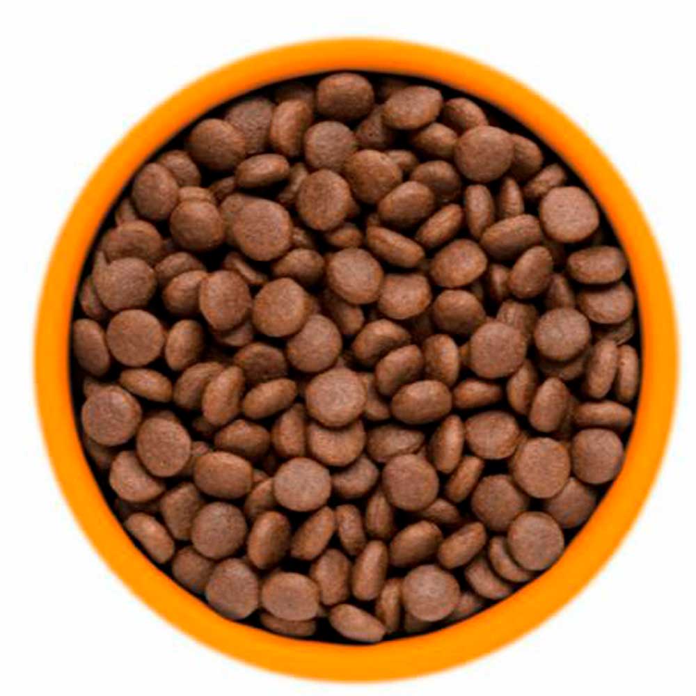 Сухой Корм Karmy (Карми) Hair & Skin Для Кошек Для Здоровья Кожи и Шерсти Лосось 1,5кг