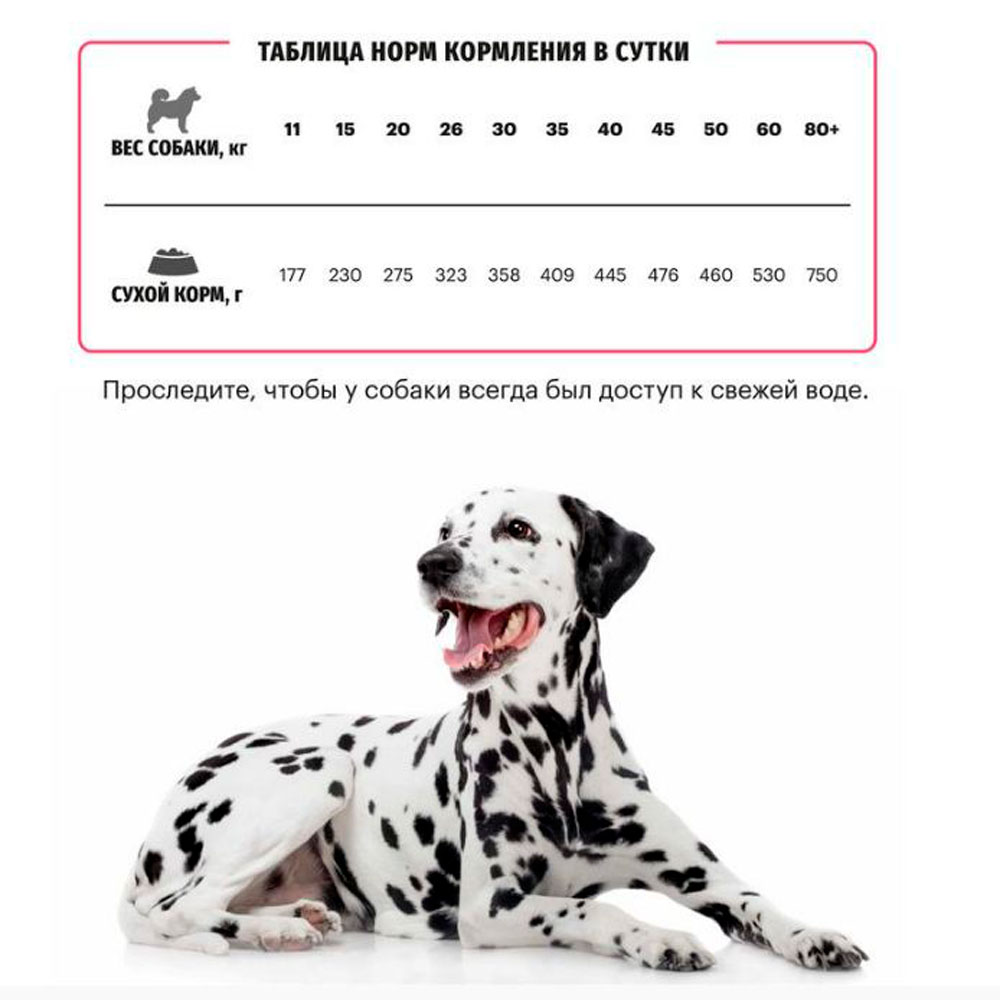 Сухой Корм Karmy (Карми) Sensitive Medium Maxi Для Собак Средних и Крупных Пород с Чувствительным Пищеварением Лосось 14кг