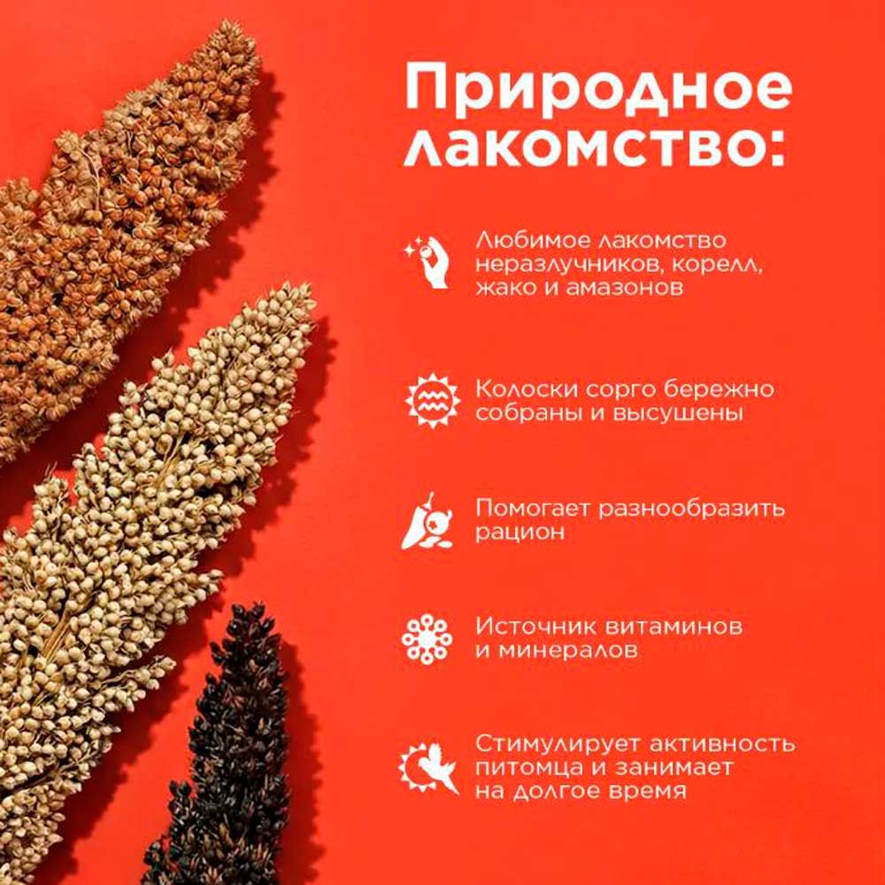 Лакомство Rio (Рио) Для Средних и Крупных Попугаев Сорго в Колосьях 3шт