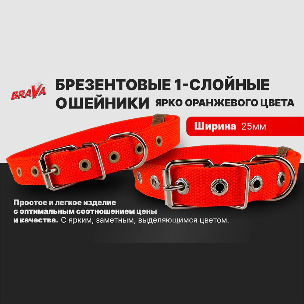 Ошейник Для Собак Мелких и Средних Пород Brava (Брава) №25 Брезентовый 1 Слойный ОШ 34-50см Оранжевый Арт1024