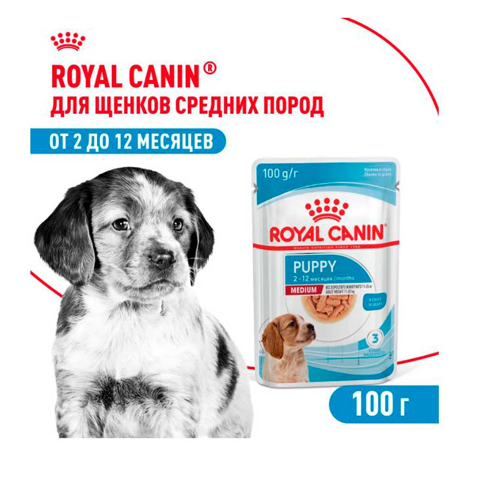 Влажный Корм Для Щенков Средних Пород Royal Canin (Роял Канин) Medium Puppy Для Здорового Пищеварения и Поддержки Естественного Иммунитета Соус Пауч 100г