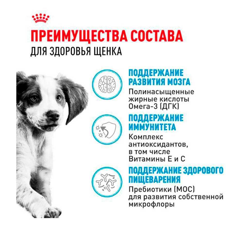 Влажный Корм Для Щенков Средних Пород Royal Canin (Роял Канин) Medium Puppy Для Здорового Пищеварения и Поддержки Естественного Иммунитета Соус Пауч 100г