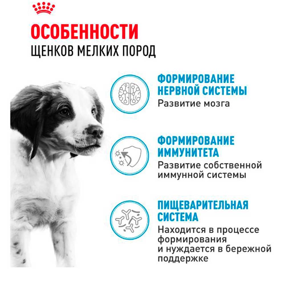 Влажный Корм Для Щенков Средних Пород Royal Canin (Роял Канин) Medium Puppy Для Здорового Пищеварения и Поддержки Естественного Иммунитета Соус Пауч 100г
