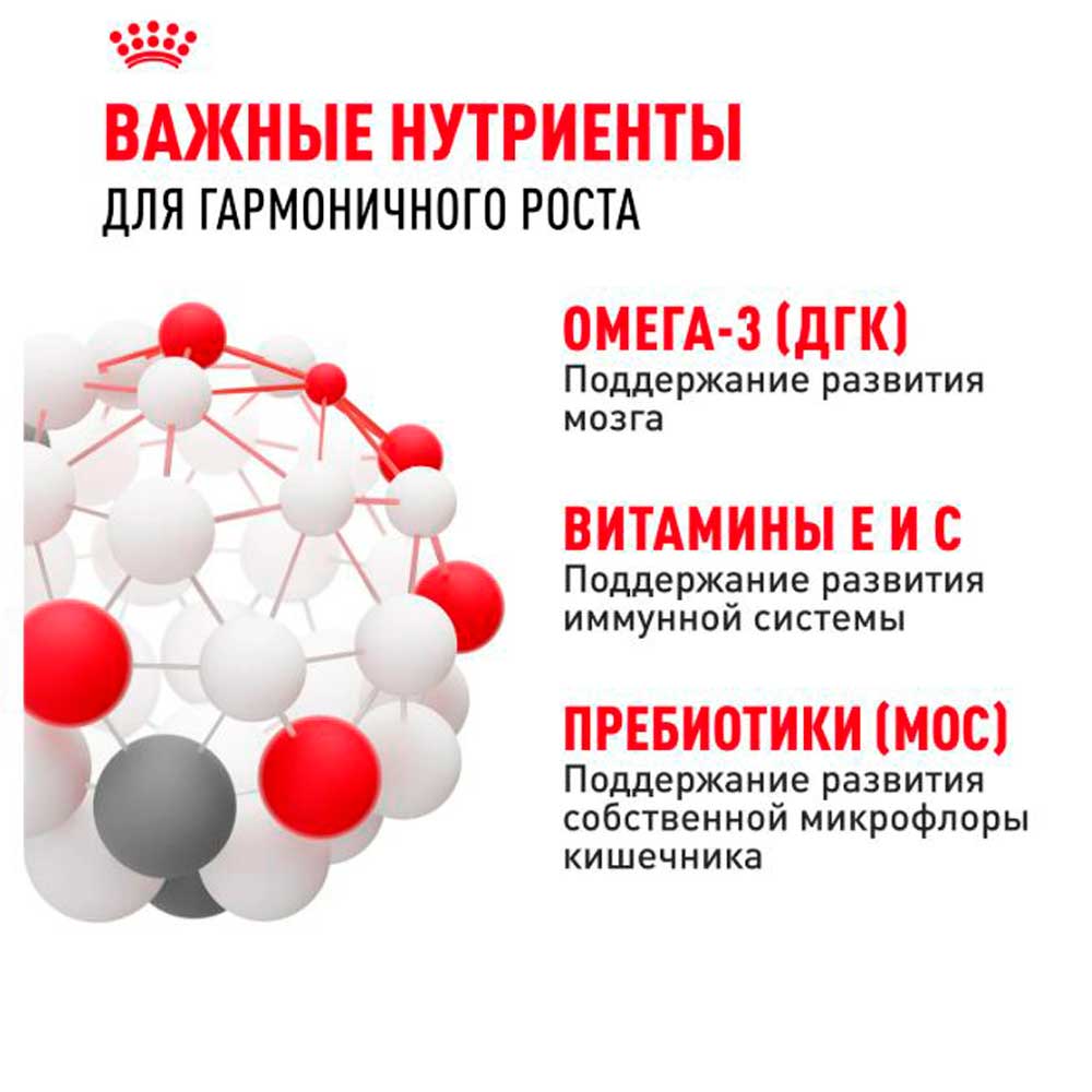 Влажный Корм Для Щенков Средних Пород Royal Canin (Роял Канин) Medium Puppy Для Здорового Пищеварения и Поддержки Естественного Иммунитета Соус Пауч 100г