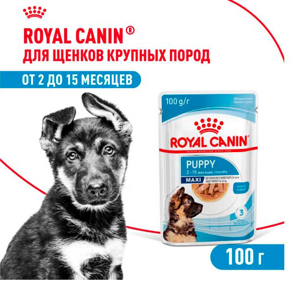 Влажный Корм Для Щенков Крупных Пород Royal Canin (Роял Канин) Maxi Puppy Для Гармоничного Роста и Поддержки Естественного Иммунитета Соус Пауч 100