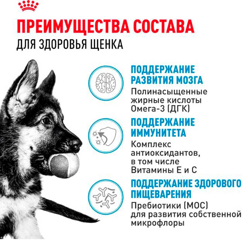 Влажный Корм Для Щенков Крупных Пород Royal Canin (Роял Канин) Maxi Puppy Для Гармоничного Роста и Поддержки Естественного Иммунитета Соус Пауч 100