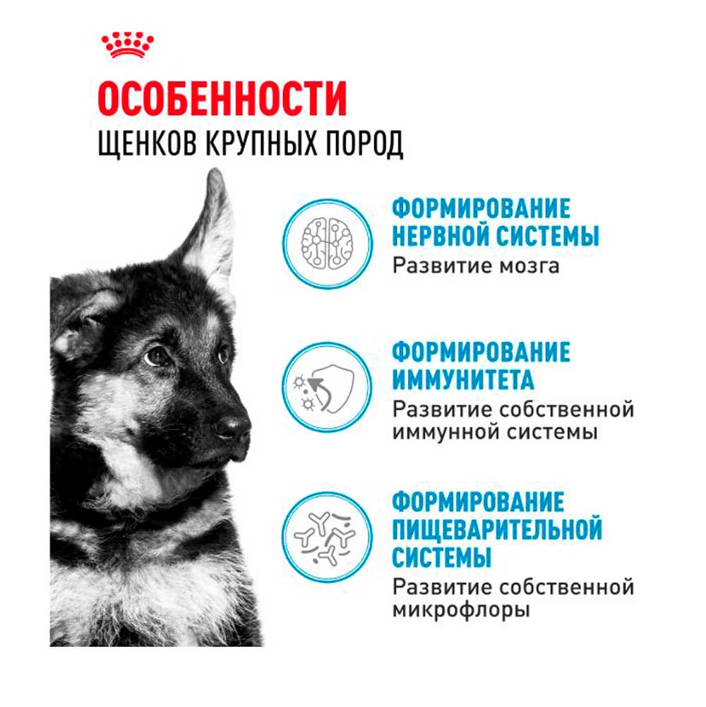 Влажный Корм Для Щенков Крупных Пород Royal Canin (Роял Канин) Maxi Puppy Для Гармоничного Роста и Поддержки Естественного Иммунитета Соус Пауч 100