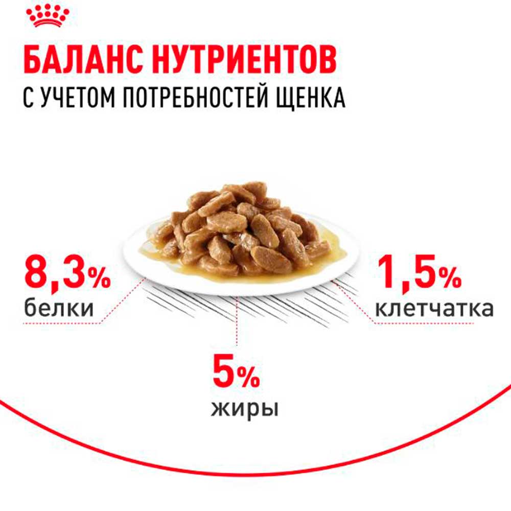 Влажный Корм Для Щенков Крупных Пород Royal Canin (Роял Канин) Maxi Puppy Для Гармоничного Роста и Поддержки Естественного Иммунитета Соус Пауч 100
