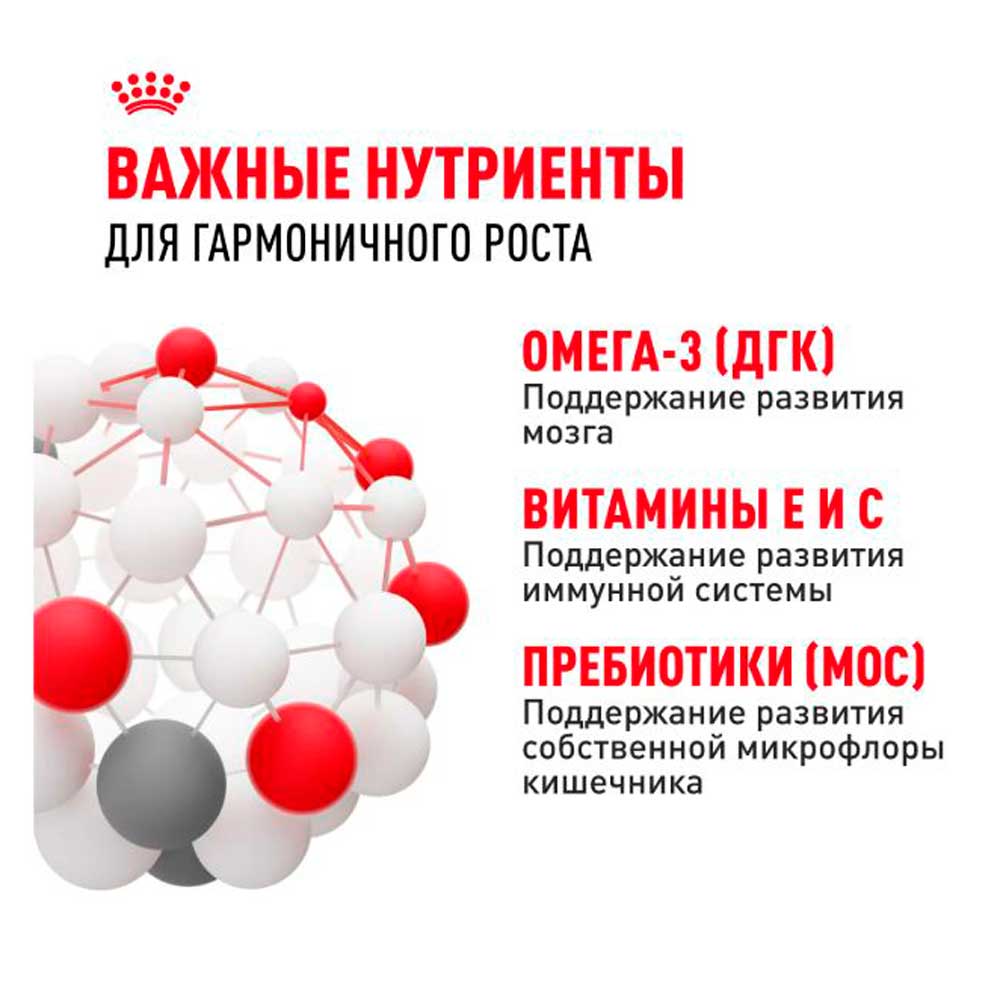 Влажный Корм Для Щенков Крупных Пород Royal Canin (Роял Канин) Maxi Puppy Для Гармоничного Роста и Поддержки Естественного Иммунитета Соус Пауч 100