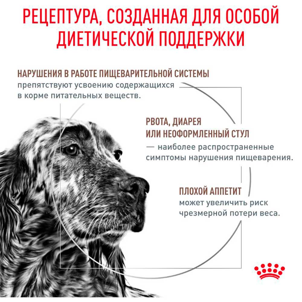 Лечебный Влажный Корм Для Собак Royal Canin (Роял Канин) Gastrointestinal Паштет Диета При Заболеваниях ЖКТ 85г