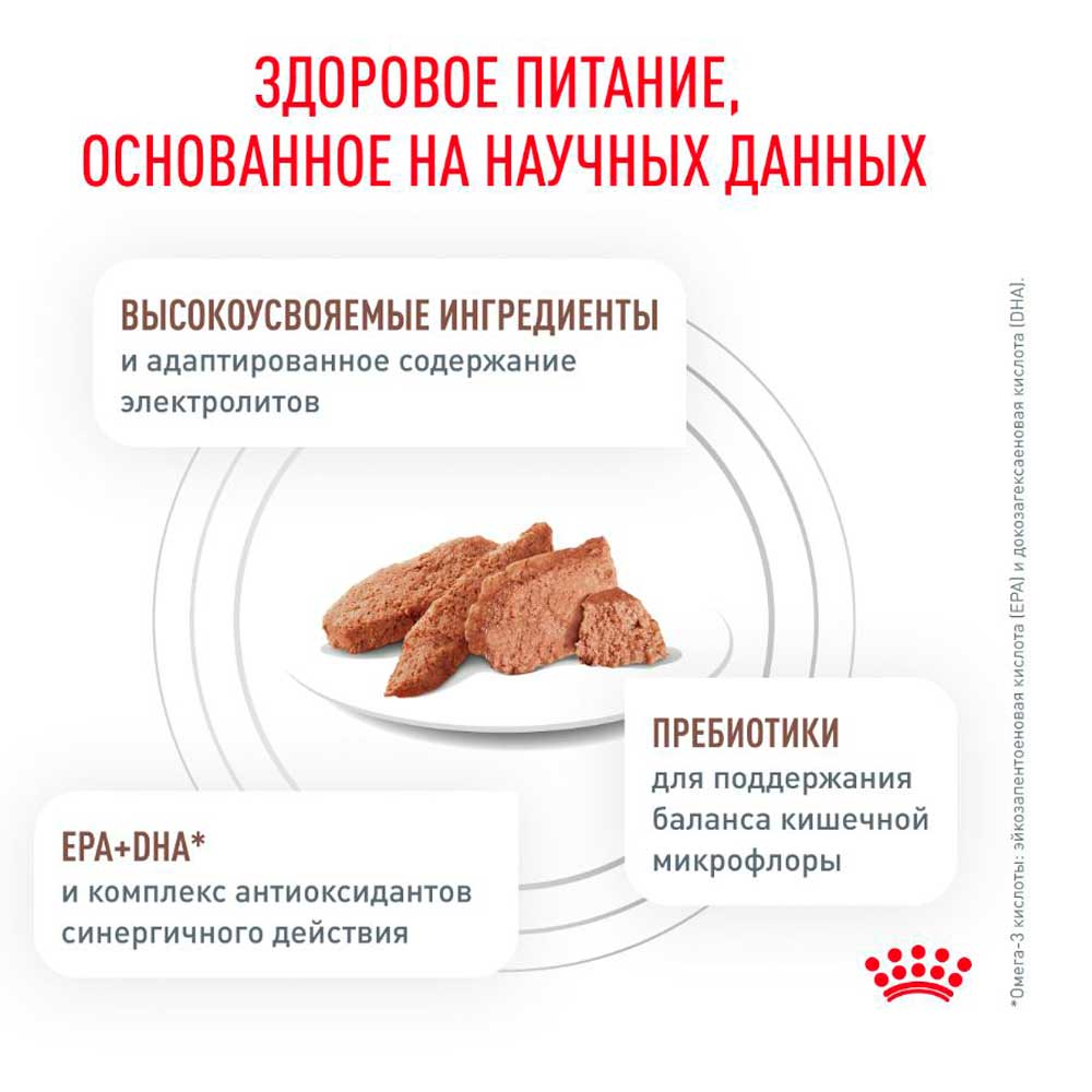 Лечебный Влажный Корм Для Собак Royal Canin (Роял Канин) Gastrointestinal Паштет Диета При Заболеваниях ЖКТ 85г