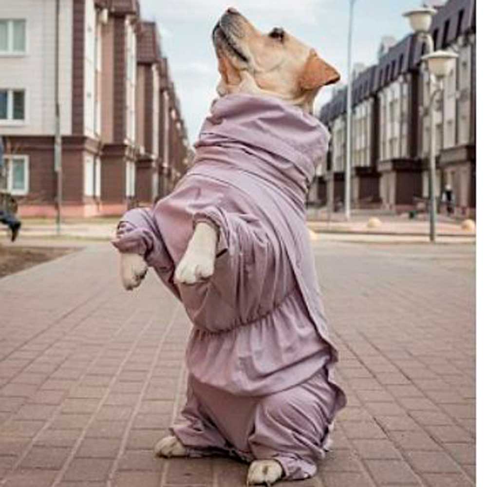 Комбинезон Osso Fashion (Оссо Фешн) Для Собак с Ловушками От Клещей с Капором Р 30 Мальчик Кварц Кк 1199