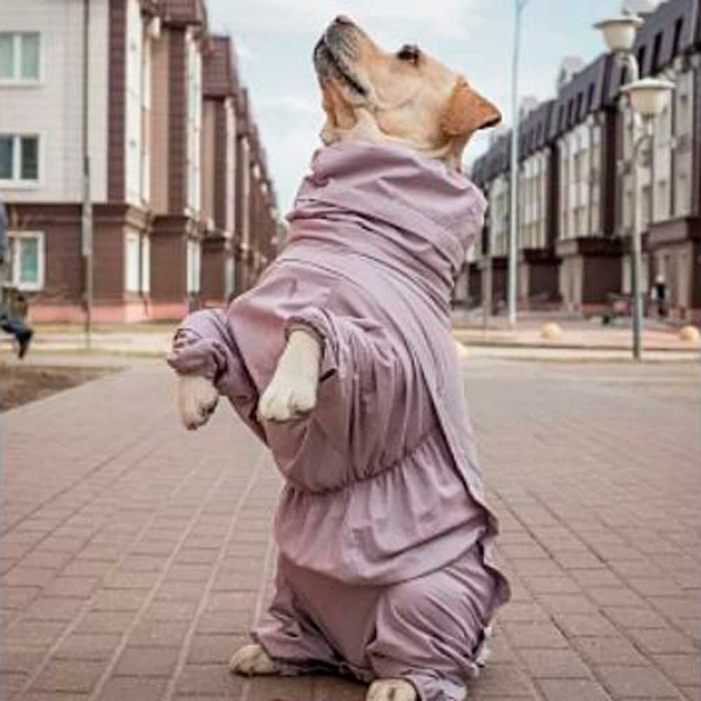 Комбинезон Osso Fashion (Оссо Фешн) Для Собак Мелких Пород с Ловушками От Клещей с Капором Р 28 Девочка Кварц Кк 1194