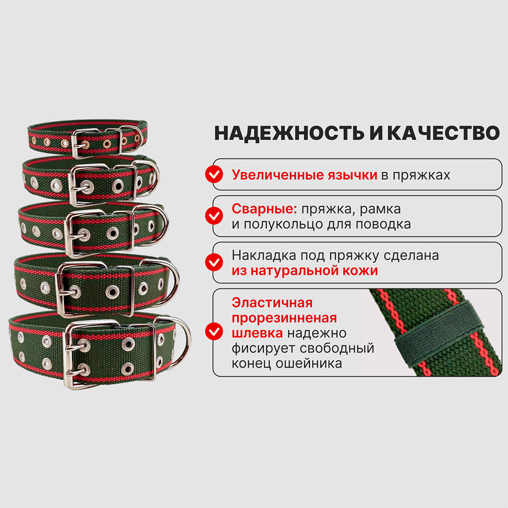 Ошейник Для Собак Мелких и Средних Пород Brava (Брава) №20 ОШ31-47см 2*55см Брезентовый 1-Слой Арт029