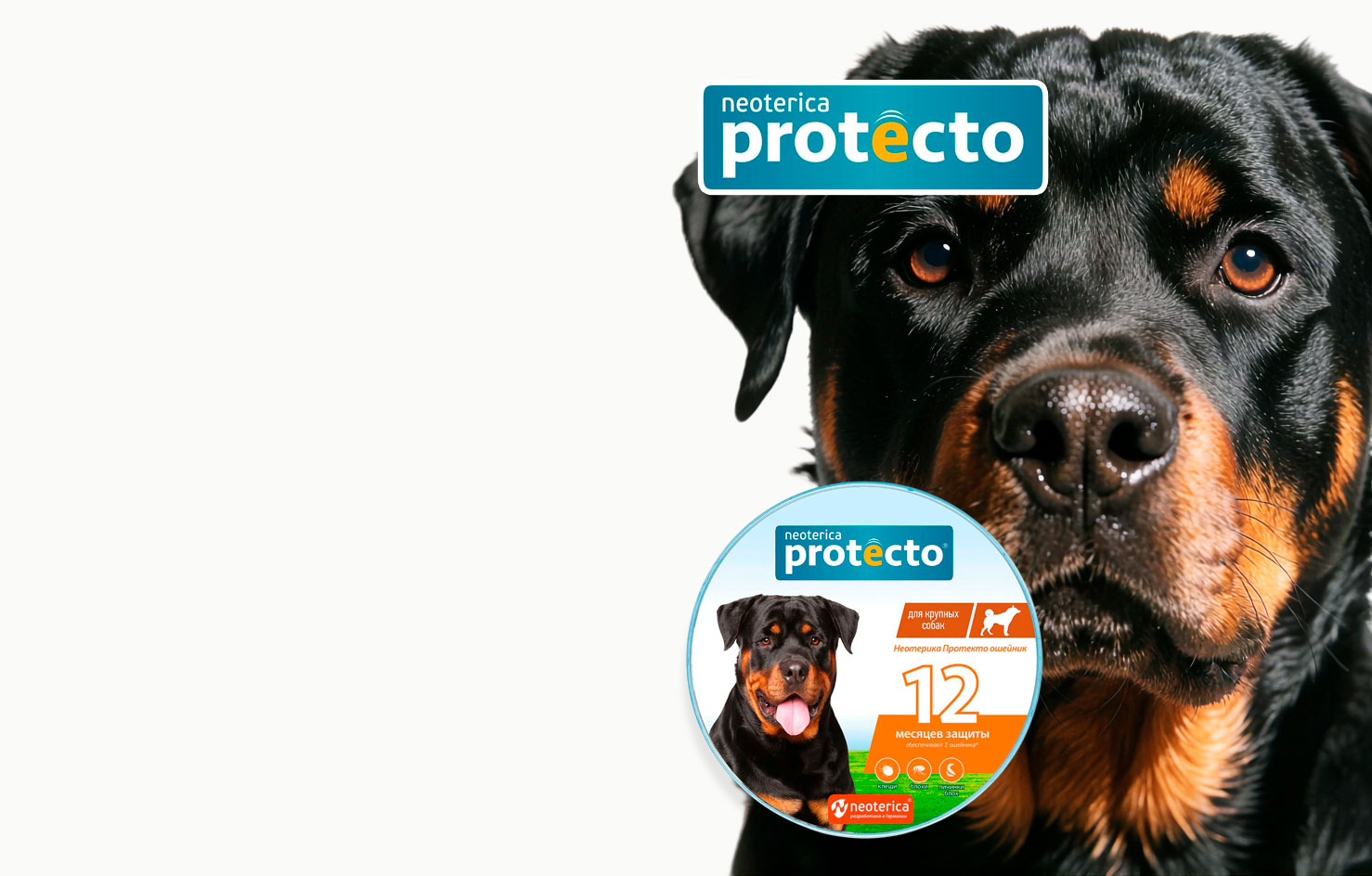 -20% Protecto
Ошейник
От Блох
и Клещей
Для Крупных
Собак
12 мес. защиты