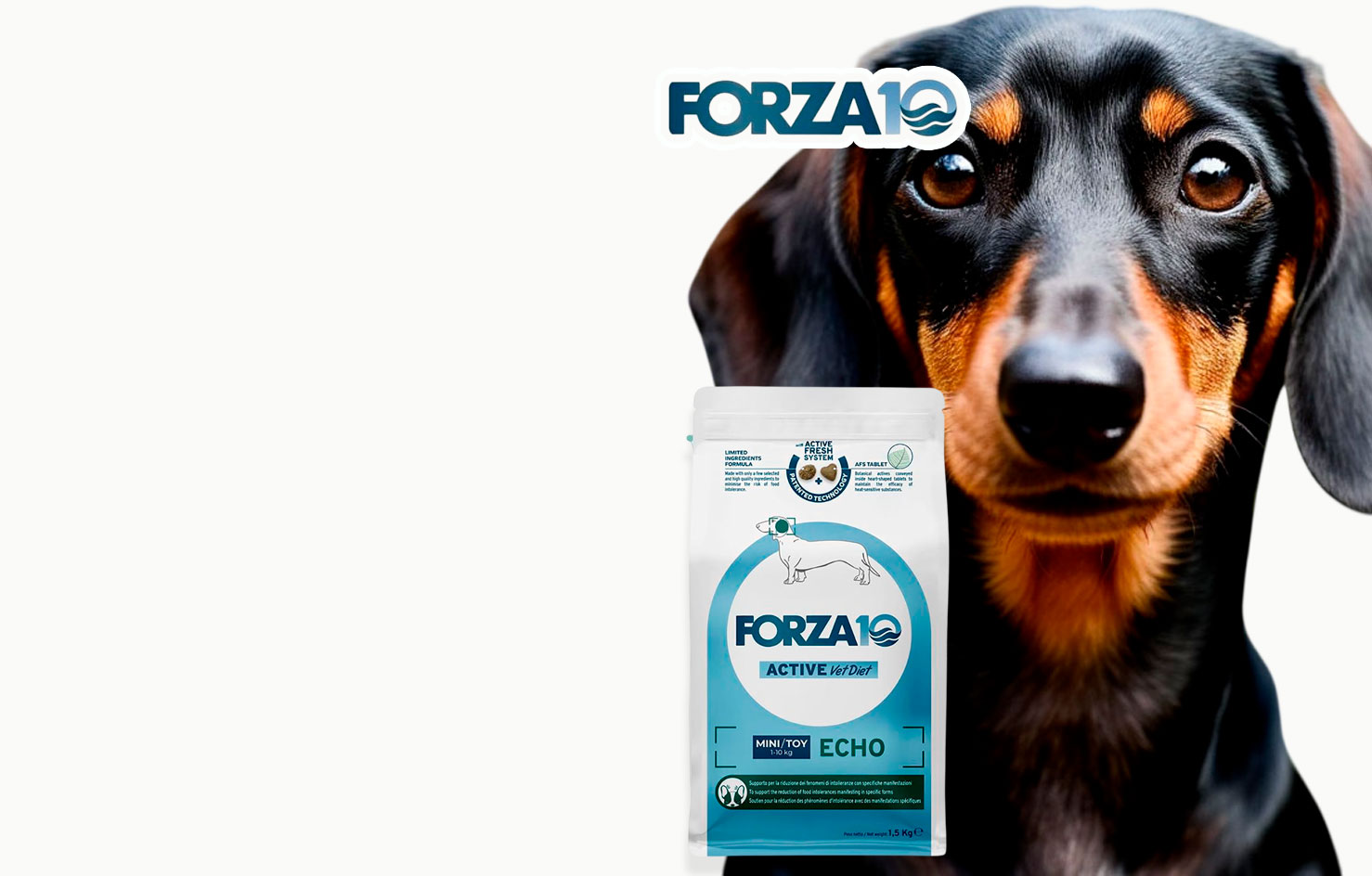 -50% Forza 10
Корм
Vet Diet
Для Собак 
Заболевания
Слуховых
Органов 1,5кг