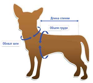 одежда для собак, мерки, длина спины, обхват груди, обхват шеи