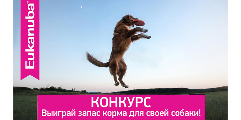 Внимание! Конкурс от EUKANUBA